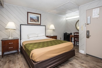 Single Room, 1 Queen Bed