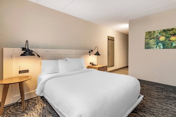 Room, 1 Queen Bed, Roll-in Shower