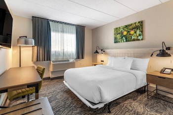 Room, 1 Queen Bed, Roll-in Shower