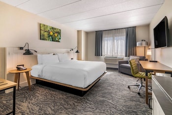 Room, 1 King Bed with Sofa bed, Roll-in Shower