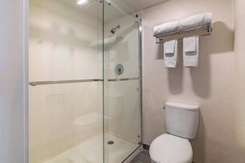 Suite, 1 King Bed with Sofa bed, Hearing Accessible