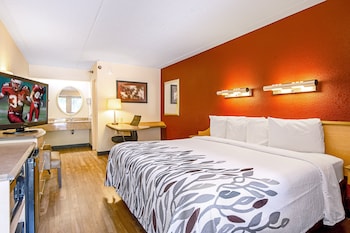 Superior Room, 1 King Bed, Smoking