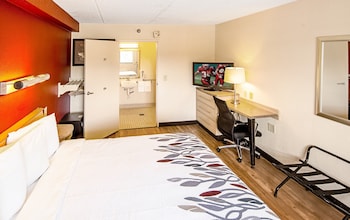 Standard Room, 1 King Bed, Accessible, Non Smoking (Roll-In Shower)