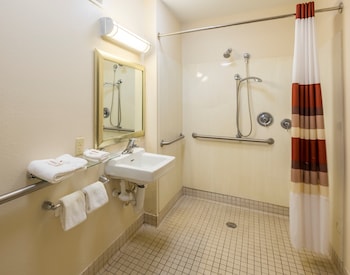 Standard Room, 1 King Bed, Accessible, Non Smoking (Roll-In Shower)