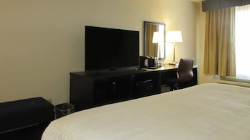 Room, 1 King Bed, Accessible, Non Smoking (Roll-In Shower)