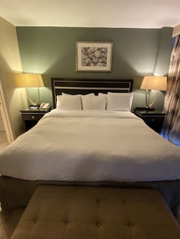 Suite, 1 King Bed with Sofa bed, Non Smoking