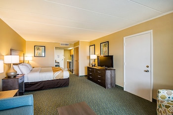 Room, Oceanfront, 1 King Bed & Sofa, Kitchenette