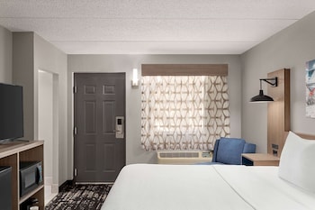 Room, 1 King Bed, Non Smoking