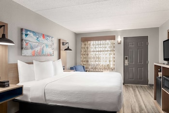 Room, 1 King Bed, Accessible, Non Smoking (Mobility,Tub w/Grab Bars)