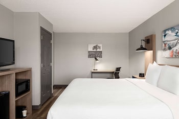 Room, 1 King Bed, Accessible, Non Smoking (Mobility,Tub w/Grab Bars)