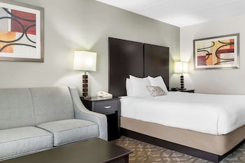Standard Room, 1 King Bed, Non Smoking, Refrigerator & Microwave (with Sofabed)