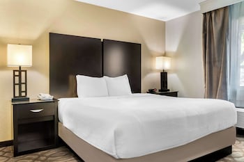 Suite, 1 King Bed, Non Smoking, Kitchenette (with Sofabed)