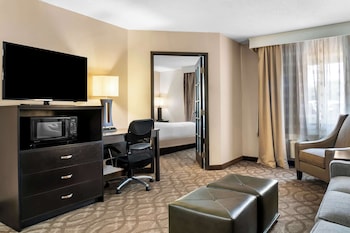 Suite, 1 King Bed, Non Smoking, Kitchenette (with Sofabed)