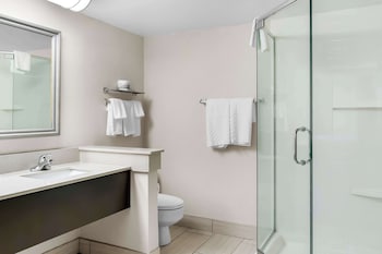 Suite, 1 King Bed, Non Smoking, Kitchenette (with Sofabed)