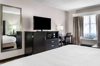 Standard Room, 1 King Bed, Non Smoking, Refrigerator & Microwave (with Sofabed)