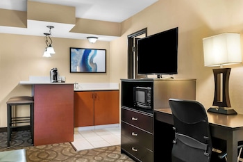 Suite, 1 King Bed, Non Smoking, Kitchenette (with Sofabed)