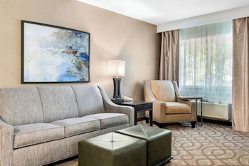 Suite, 1 King Bed, Non Smoking, Kitchenette (with Sofabed)
