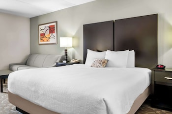 Standard Room, 1 King Bed, Non Smoking, Refrigerator & Microwave (with Sofabed)