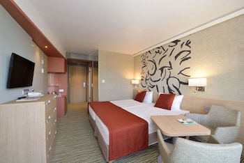 Executive Double or Twin Room