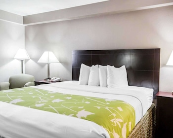 Standard Room, 1 King Bed, Non Smoking
