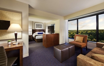 Room, 1 King Bed with Sofa bed