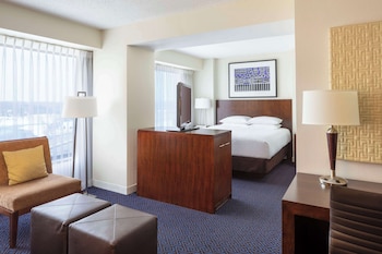 Room, 1 King Bed with Sofa bed