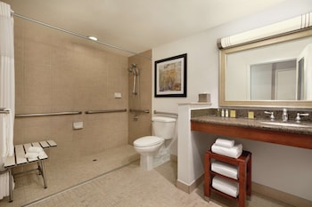 One Queen Bed, Non-Smoking, Roll In Shower