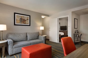 Suite, 1 King Bed