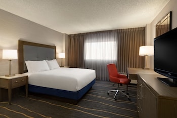 Room, 1 King Bed, Mountain View