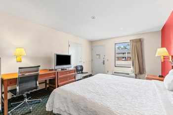 Room, 1 King Bed, Smoking