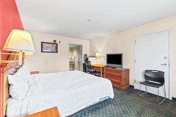 Room, 1 King Bed, Smoking