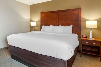 Room, 1 King Bed, Accessible, Non Smoking