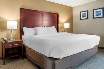 Standard Room, 1 King Bed, Non Smoking