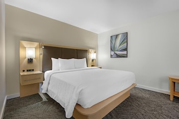 Standard Room, 1 King Bed, Refrigerator & Microwave, Courtyard View (with Sofabed)