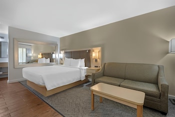 Standard Room, 1 King Bed, Refrigerator & Microwave, Courtyard View (with Sofabed)