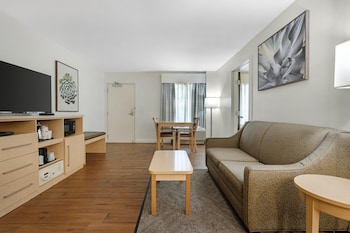 Suite, 1 Queen Bed, Accessible, Non Smoking (Walk-in Shower;with Sofabed)