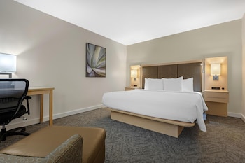 Suite, 1 King Bed, Accessible, Non Smoking (Walk-in Shower;with Sofabed)