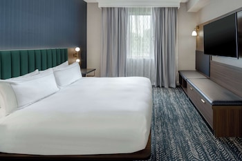 Suite, One King Bed, Accessible