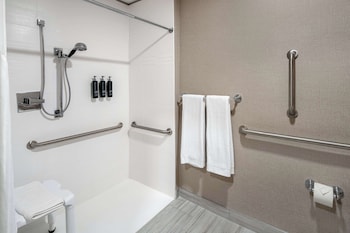 Suite, One King Bed, Accessible