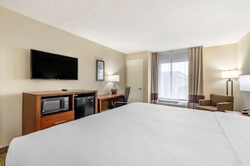 Standard Room, 1 King Bed, Non Smoking