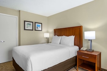 Basic Room, 1 Queen Bed, Non Smoking