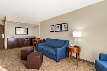 Deluxe Suite, Multiple Beds, Non Smoking