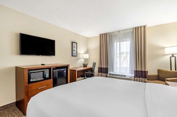 Basic Room, 1 Queen Bed, Accessible, Non Smoking