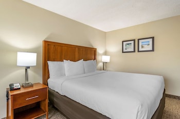 Standard Room, 1 King Bed, Non Smoking