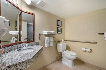 Basic Room, 1 Queen Bed, Accessible, Non Smoking
