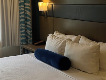 Room, 1 King Bed