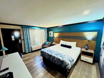 Room, 1 King Bed
