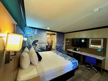 Room, 1 King Bed