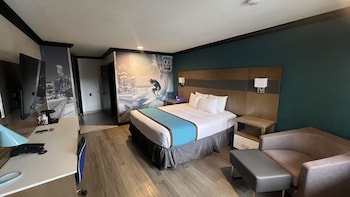 Room, 1 King Bed, Roll-in Shower