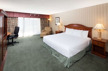 Room, 1 King Bed, Accessible, Non Smoking